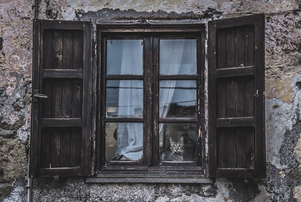 What Should You Keep in Mind during the Old Windows Replacement